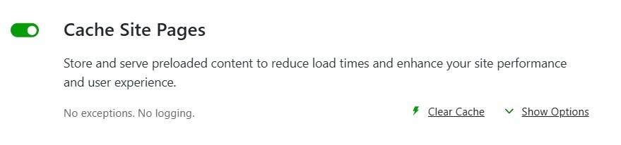option to cache site pages