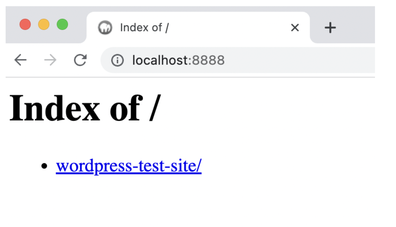 page that says "index of / "