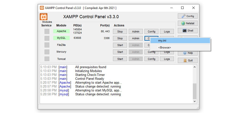 selecting the my.ini option