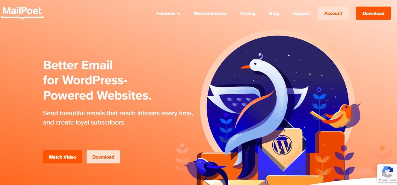 MailPoet homepage hero section with title, paragraph, and "watch video" and "download" buttons.